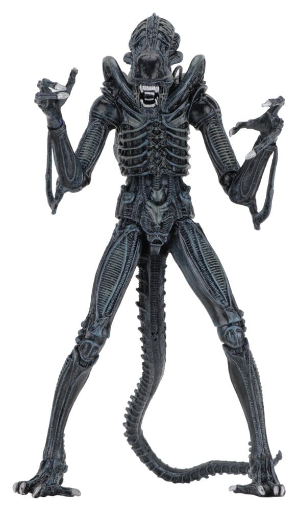 Aliens Ultimate Actionfigur Warrior (1986) Blue 23 cm Image 1