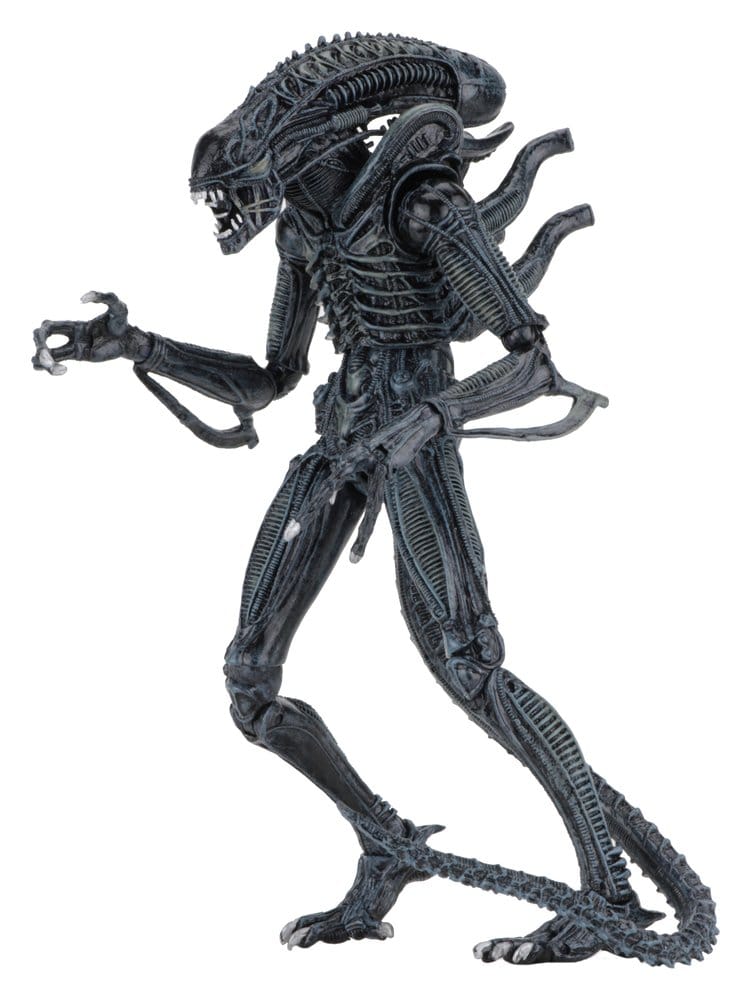 Aliens Ultimate Actionfigur Warrior (1986) Blue 23 cm Image 5