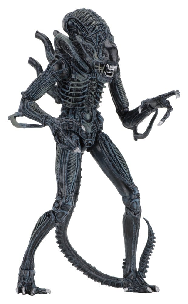 Aliens Ultimate Actionfigur Warrior (1986) Blue 23 cm Image 6