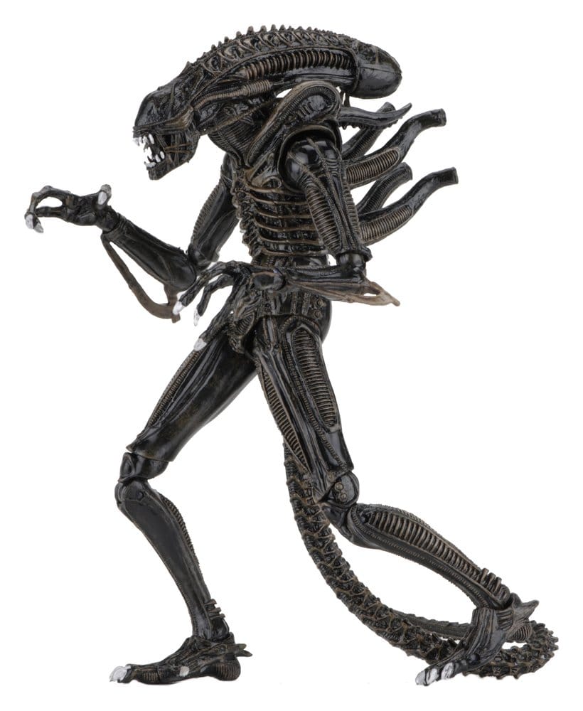 Aliens Ultimate Actionfigur Warrior (1986) Brown 23 cm Image 2