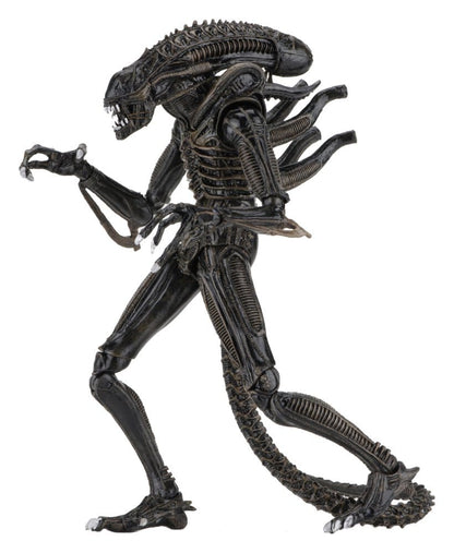 Aliens Ultimate Actionfigur Warrior (1986) Brown 23 cm Image 2