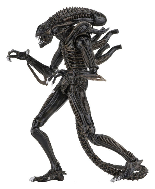 Aliens Ultimate Actionfigur Warrior (1986) Brown 23 cm Image 2