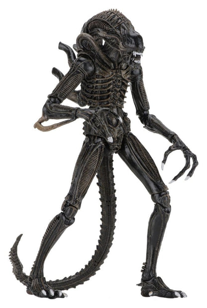 Aliens Ultimate Actionfigur Warrior (1986) Brown 23 cm Image 3