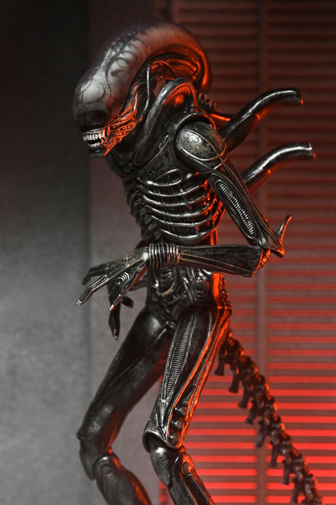 Alien: Romulus Actionfigur Ultimate Xenomorph XX121 18 cm Image 2