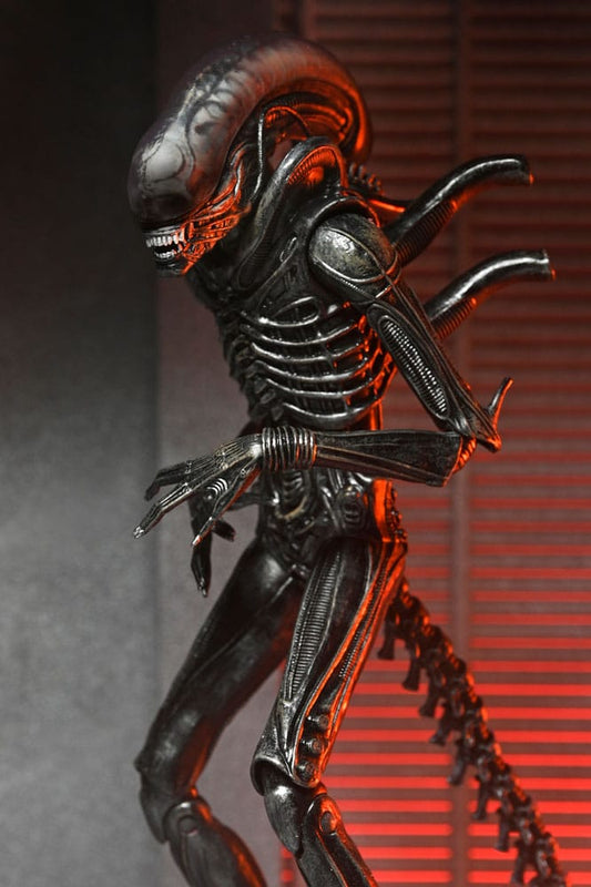 Alien: Romulus Actionfigur Ultimate Xenomorph XX121 18 cm Image 2