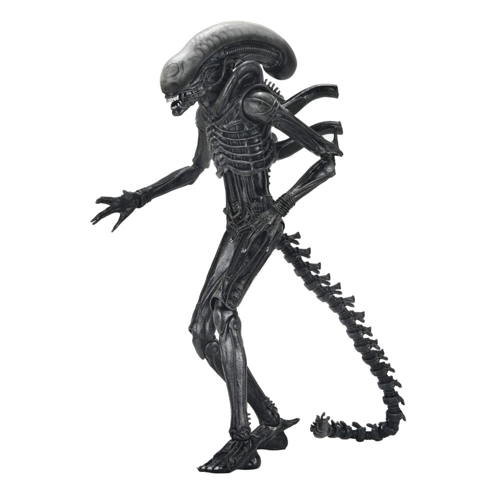 Alien: Romulus Actionfigur Ultimate Xenomorph XX121 18 cm Image 1