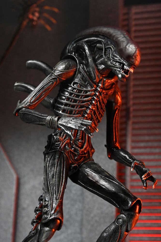 Alien: Romulus Actionfigur Ultimate Xenomorph XX121 18 cm Image 4
