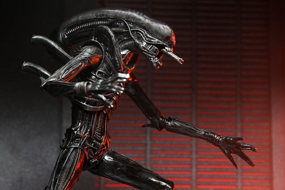 Alien: Romulus Actionfigur Ultimate Xenomorph XX121 18 cm Image 5