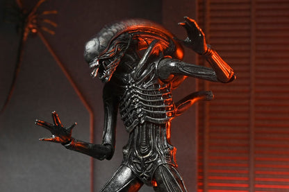 Alien: Romulus Actionfigur Ultimate Xenomorph XX121 18 cm Image 6