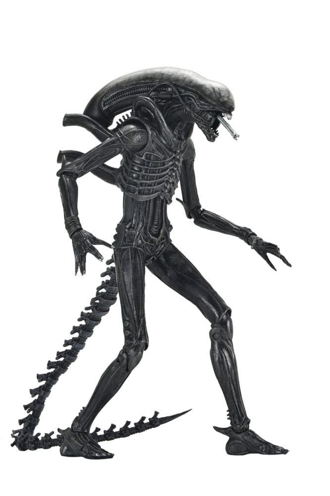 Alien: Romulus Actionfigur Ultimate Xenomorph XX121 18 cm Image 8