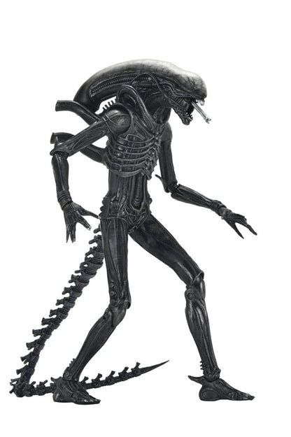 Alien: Romulus Actionfigur Ultimate Xenomorph XX121 18 cm Image 8