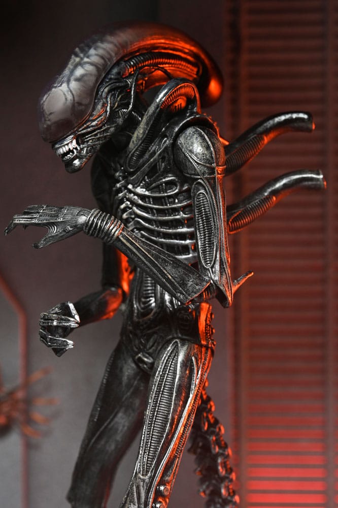 Alien: Romulus Actionfigur Ultimate Xenomorph XX121 18 cm Image 9