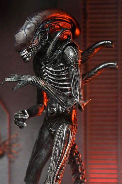 Alien: Romulus Actionfigur Ultimate Xenomorph XX121 18 cm Image 9