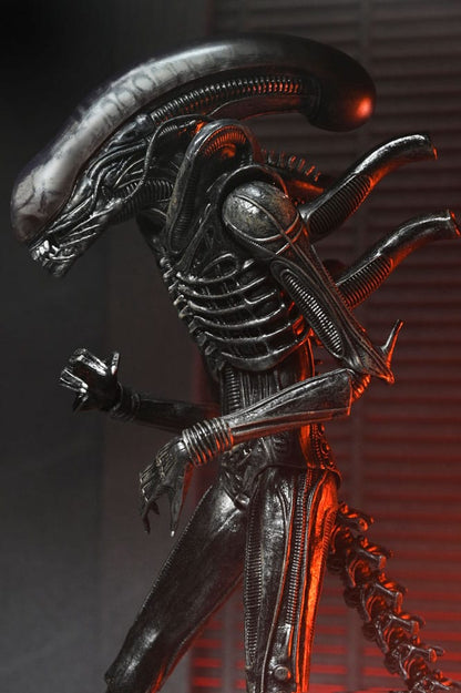 Alien: Romulus Actionfigur Ultimate Xenomorph XX121 18 cm Image 11