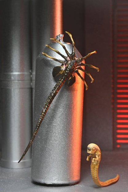Alien: Romulus Actionfigur Ultimate Xenomorph XX121 18 cm Image 12