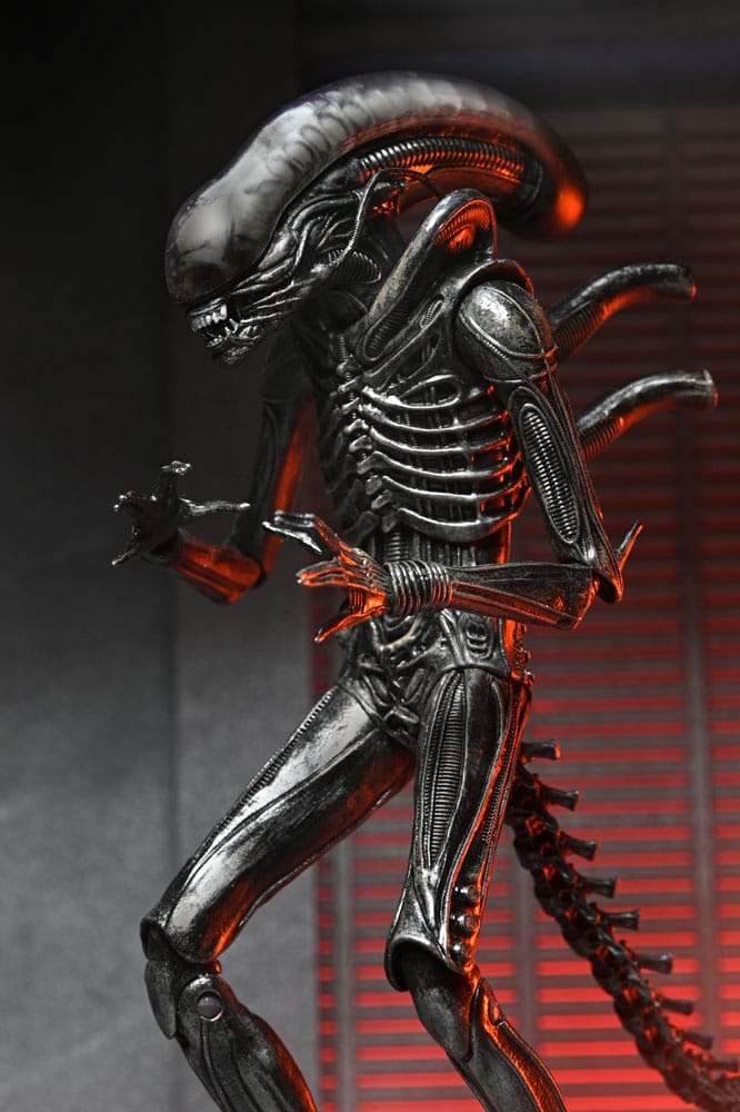 Alien: Romulus Actionfigur Ultimate Xenomorph XX121 18 cm Image 13