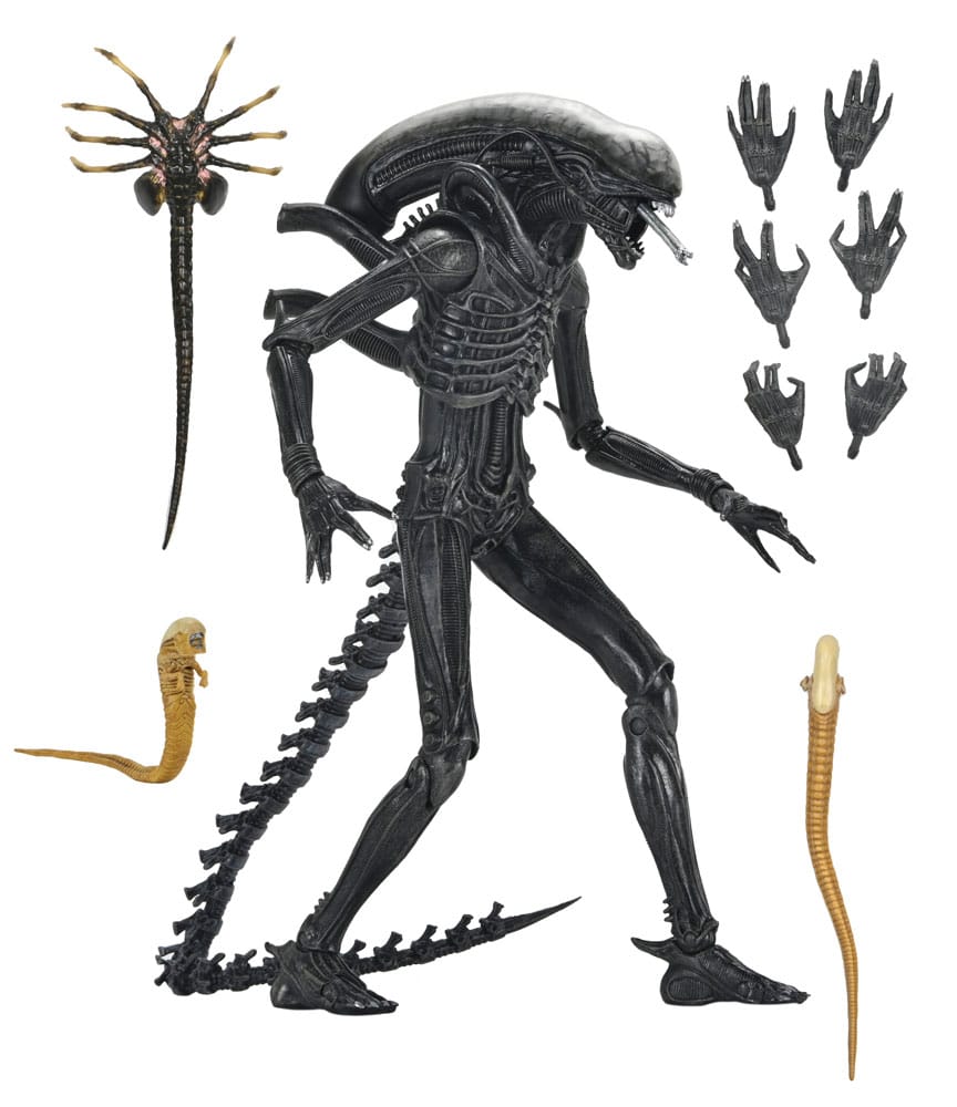 Alien: Romulus Actionfigur Ultimate Xenomorph XX121 18 cm Image 15