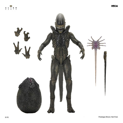 Alien: Earth Ultimate Actionfigur Xenomorph 18 cm Image 2
