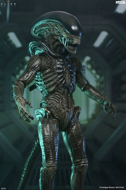 Alien: Earth Ultimate Actionfigur Xenomorph 18 cm Image 3