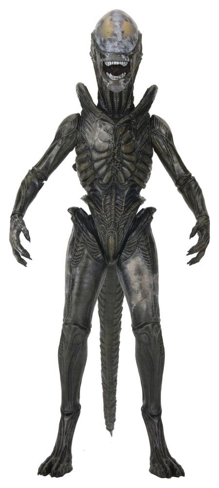 Alien: Earth Ultimate Actionfigur Wendy's Xenomorph 18 cm Image 1