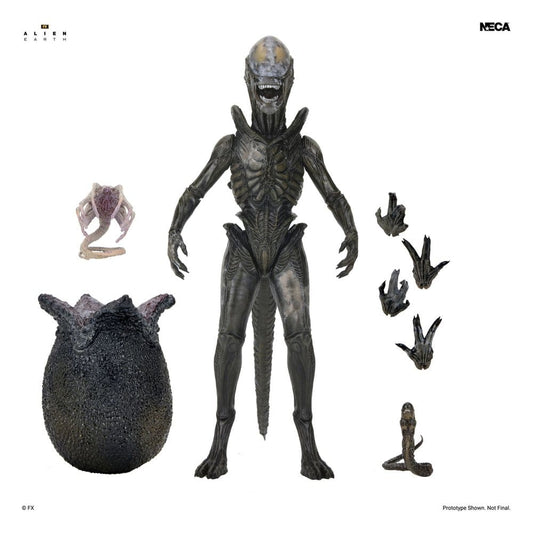 Alien: Earth Ultimate Actionfigur Wendy's Xenomorph 18 cm Image 2