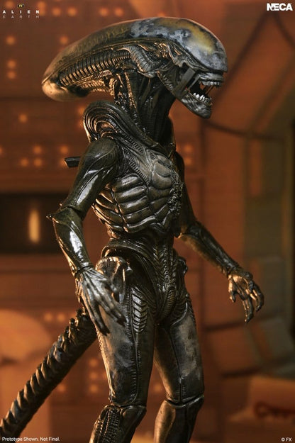 Alien: Earth Ultimate Actionfigur Wendy's Xenomorph 18 cm Image 3