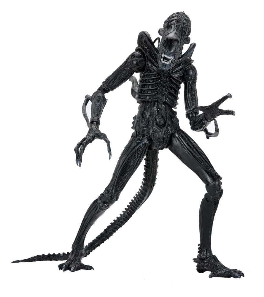Aliens Ultimate Actionfigur Warrior (1986) Xenomorph Black (40th Anniversary) 23 cm Image 1