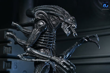 Aliens Ultimate Actionfigur Warrior (1986) Xenomorph Black (40th Anniversary) 23 cm Image 4