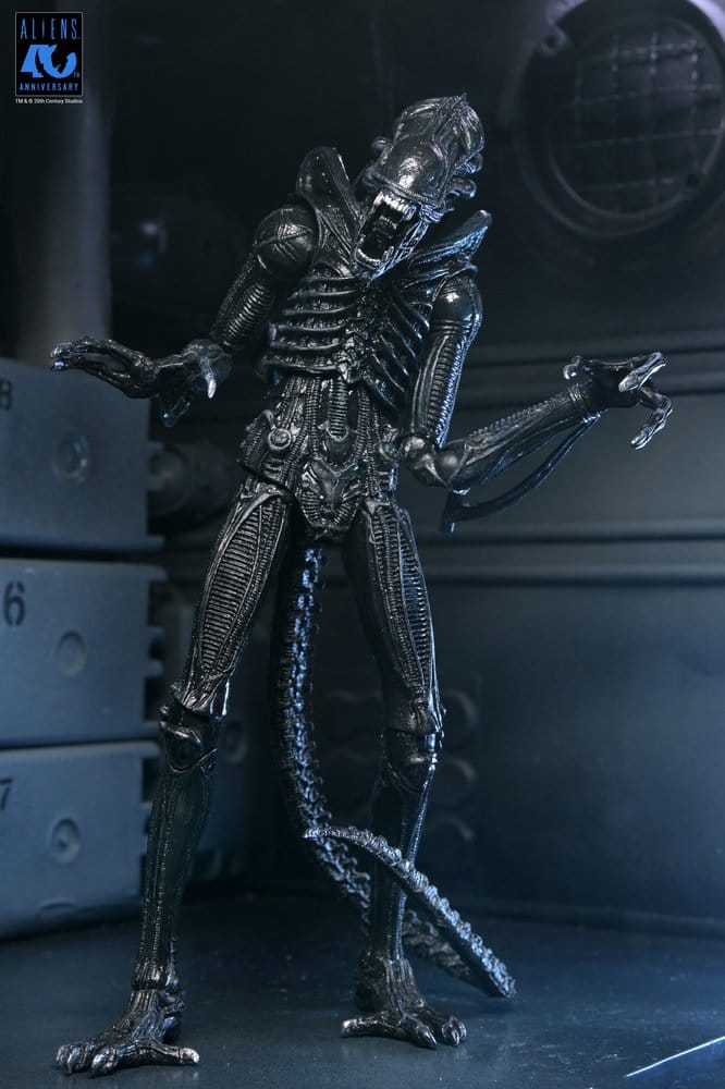 Aliens Ultimate Actionfigur Warrior (1986) Xenomorph Black (40th Anniversary) 23 cm Image 5