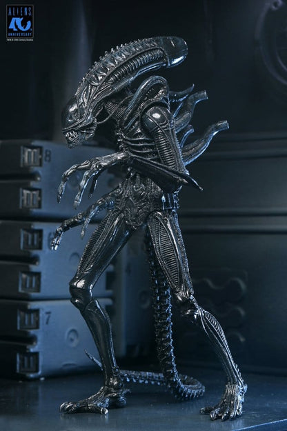 Aliens Ultimate Actionfigur Warrior (1986) Xenomorph Black (40th Anniversary) 23 cm Image 6