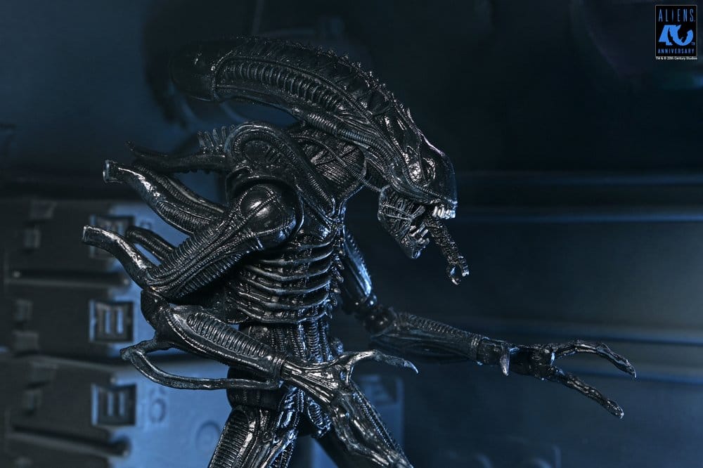 Aliens Ultimate Actionfigur Warrior (1986) Xenomorph Black (40th Anniversary) 23 cm Image 12