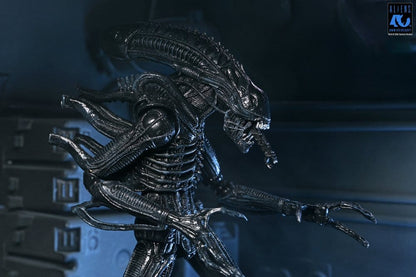 Aliens Ultimate Actionfigur Warrior (1986) Xenomorph Black (40th Anniversary) 23 cm Image 12