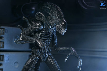 Aliens Ultimate Actionfigur Warrior (1986) Xenomorph Black (40th Anniversary) 23 cm Image 13