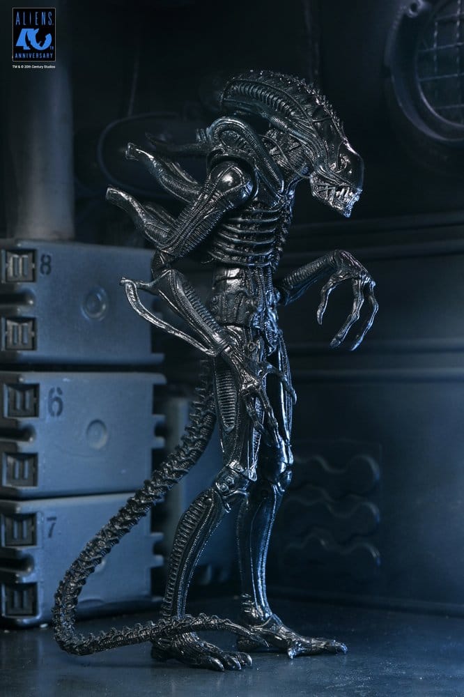 Aliens Ultimate Actionfigur Warrior (1986) Xenomorph Black (40th Anniversary) 23 cm Image 14