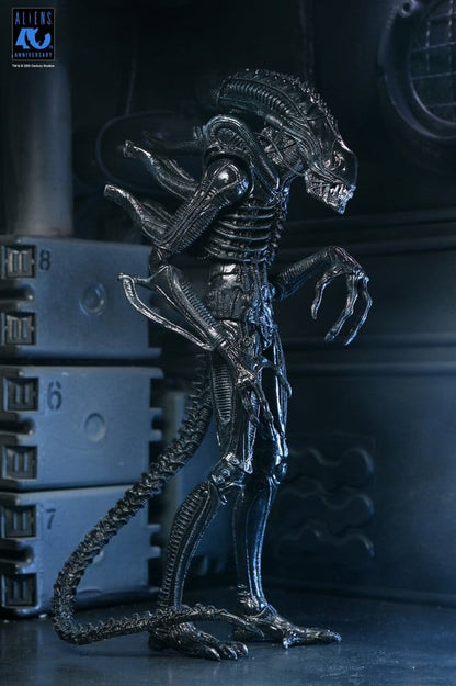 Aliens Ultimate Actionfigur Warrior (1986) Xenomorph Black (40th Anniversary) 23 cm Image 14