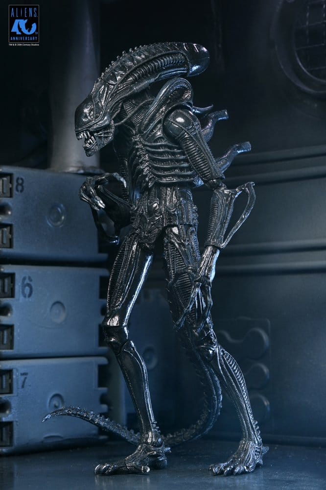Aliens Ultimate Actionfigur Warrior (1986) Xenomorph Black (40th Anniversary) 23 cm Image 15