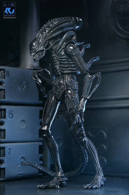 Aliens Ultimate Actionfigur Warrior (1986) Xenomorph Black (40th Anniversary) 23 cm Image 15