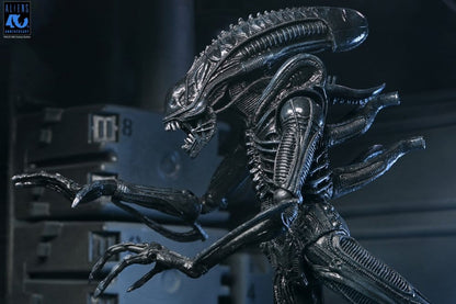 Aliens Ultimate Actionfigur Warrior (1986) Xenomorph Black (40th Anniversary) 23 cm Image 16