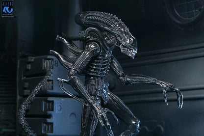 Aliens Ultimate Actionfigur Warrior (1986) Xenomorph Black (40th Anniversary) 23 cm Image 17