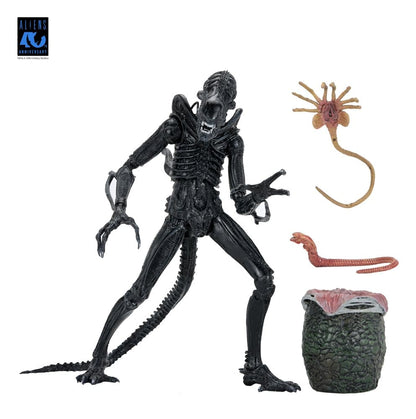 Aliens Ultimate Actionfigur Warrior (1986) Xenomorph Black (40th Anniversary) 23 cm Image 19