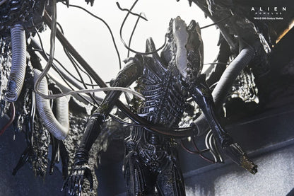 Alien: Romulus Actionfigur Deluxe Suspended Lab Xenomorph XX121 18 cm Image 4