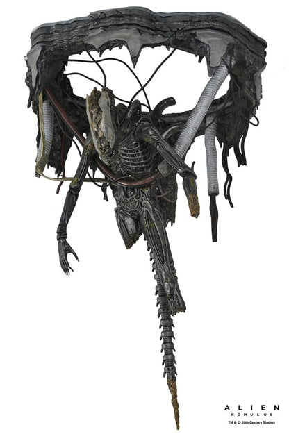 Alien: Romulus Actionfigur Deluxe Suspended Lab Xenomorph XX121 18 cm Image 9