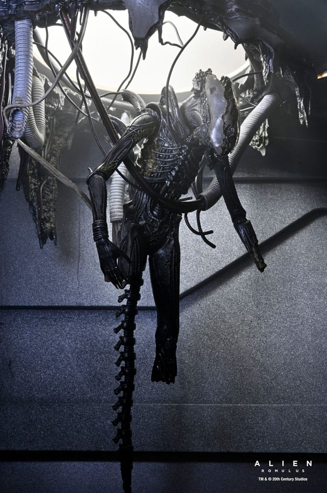 Alien: Romulus Actionfigur Deluxe Suspended Lab Xenomorph XX121 18 cm Image 11