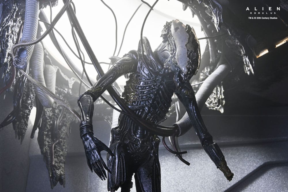Alien: Romulus Actionfigur Deluxe Suspended Lab Xenomorph XX121 18 cm Image 13