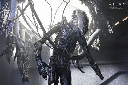 Alien: Romulus Actionfigur Deluxe Suspended Lab Xenomorph XX121 18 cm Image 13