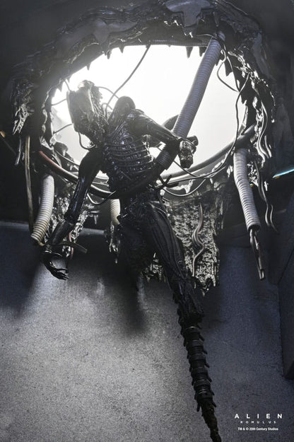 Alien: Romulus Actionfigur Deluxe Suspended Lab Xenomorph XX121 18 cm Image 14