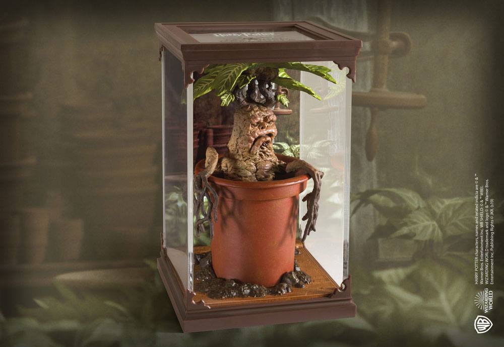 Harry Potter Magical Creatures Statue Mandrake 13 cm Image 3