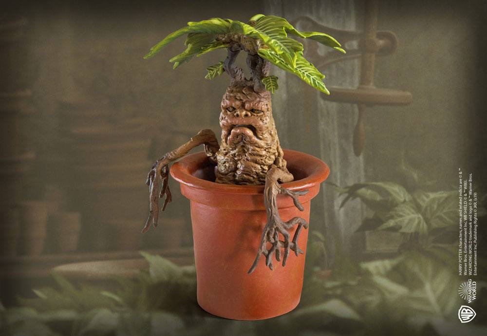 Harry Potter Magical Creatures Statue Mandrake 13 cm Image 4
