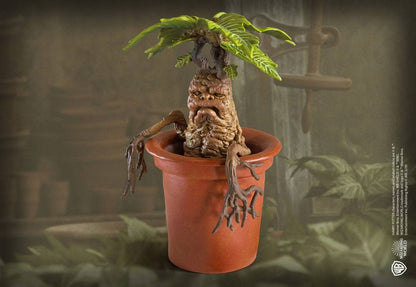 Harry Potter Magical Creatures Statue Mandrake 13 cm Image 4