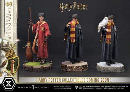 Harry Potter Prime Collectibles Statue 1/6 Harry Potter Quidditch Edition 31 cm Image 19